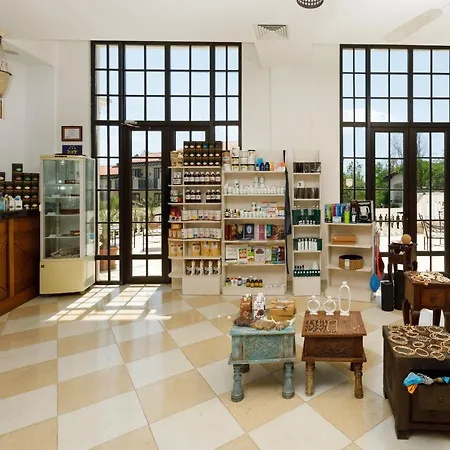 Hotel Rama Holistic And Retreats - Vegan Full Board